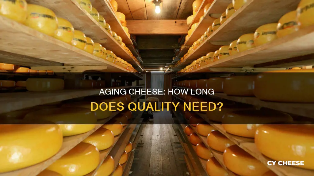 how long does quality cheese need to age