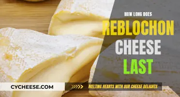 The Lifespan of Reblochon Cheese: How Long Does it Last?