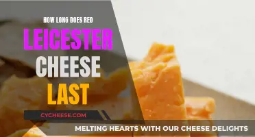 The Longevity of Red Leicester Cheese Explained