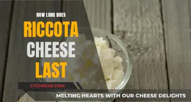 Ricotta Cheese: How Long Does It Last?