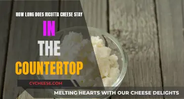 Ricotta Cheese: Countertop Lifespan and Storage Guide