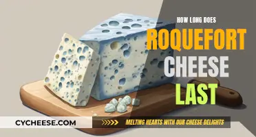 The Lifespan of Roquefort Cheese: How Long Does it Last?