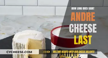 The Lifespan of Saint Andre Cheese Explained