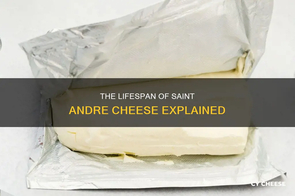 how long does saint andre cheese last