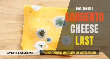 The Ultimate Guide to Storing Sargento Cheese