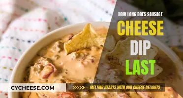 The Best Sausage Cheese Dip: How Long Does It Last?