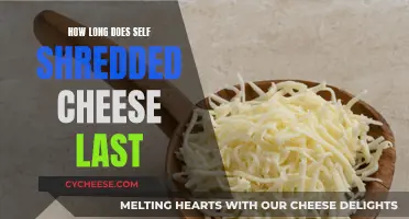 Shredded Cheese: How Long Does It Stay Fresh?