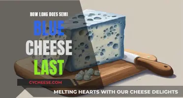 The Lifespan of Semi-Blue Cheese: How Long Does it Last?