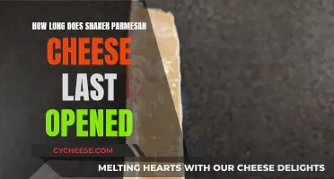 The Longevity of Opened Shaker Parmesan Cheese