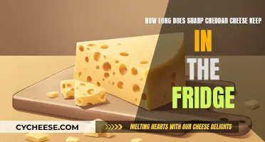 Cheddar Cheese: How Long Does it Last?