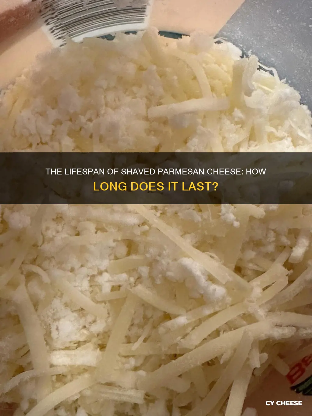 how long does shaved parmesan cheese last