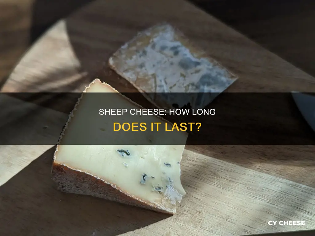 how long does sheep cheese last