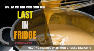 Cheese Sauce: How Long Does It Last?