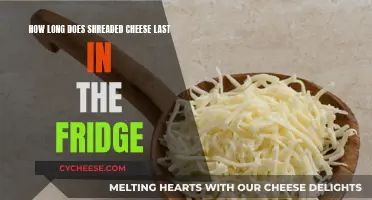 Shredded Cheese: How Long Does it Last?