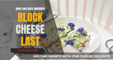 Shredded Block Cheese: How Long Does It Last?