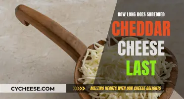 Shredded Cheddar Cheese: How Long Does it Really Last?