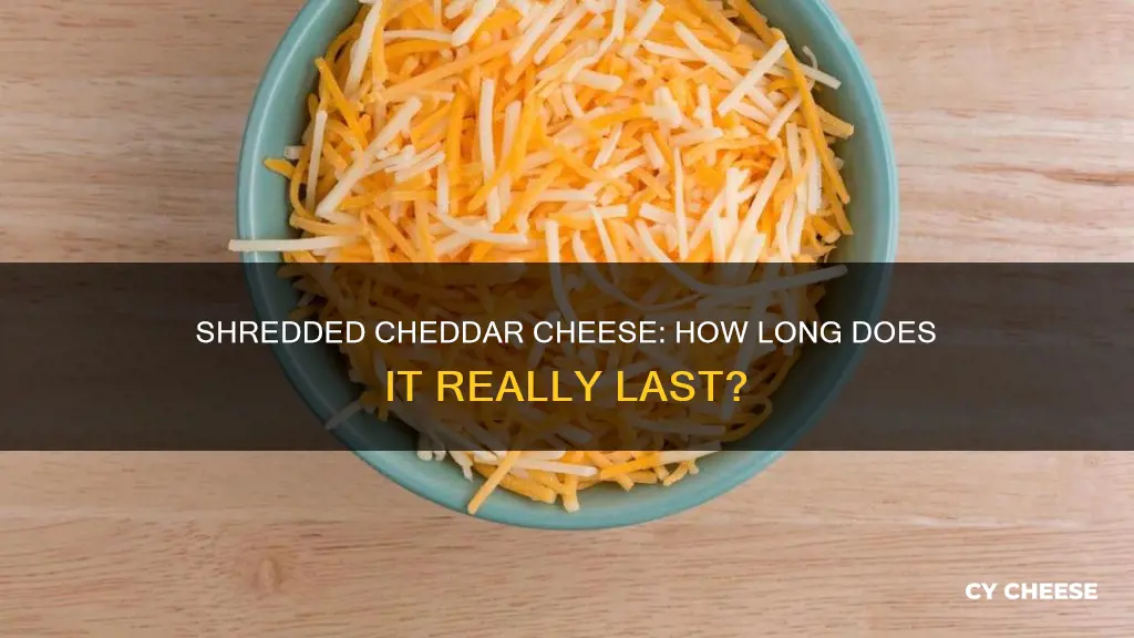 how long does shredded cheddar cheese last