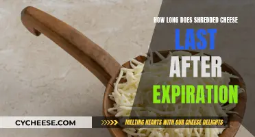 Cheese Expiration: How Long Does Shredded Cheese Last?