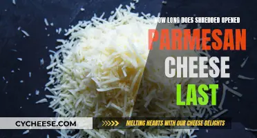 Shredded Parmesan Cheese: How Long Does It Last?