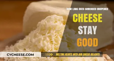 Shredded Cheese: How Long Does it Last?