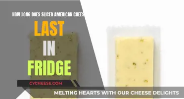 Sliced American Cheese: How Long Does it Stay Fresh?