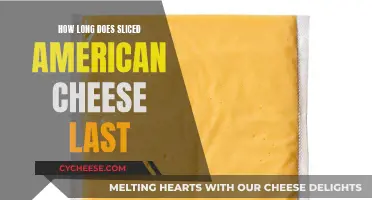 The Lifespan of Sliced American Cheese: How Long Does it Last?