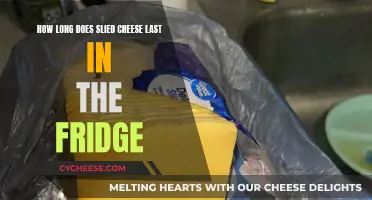 Cheese Storage: How Long Does Sliced Cheese Last?