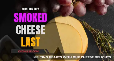 Smoked Cheese: How Long Does It Last?