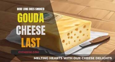 The Longevity of Smoked Gouda Cheese Explained