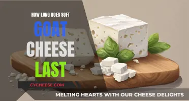 The Lifespan of Soft Goat Cheese: All You Need to Know