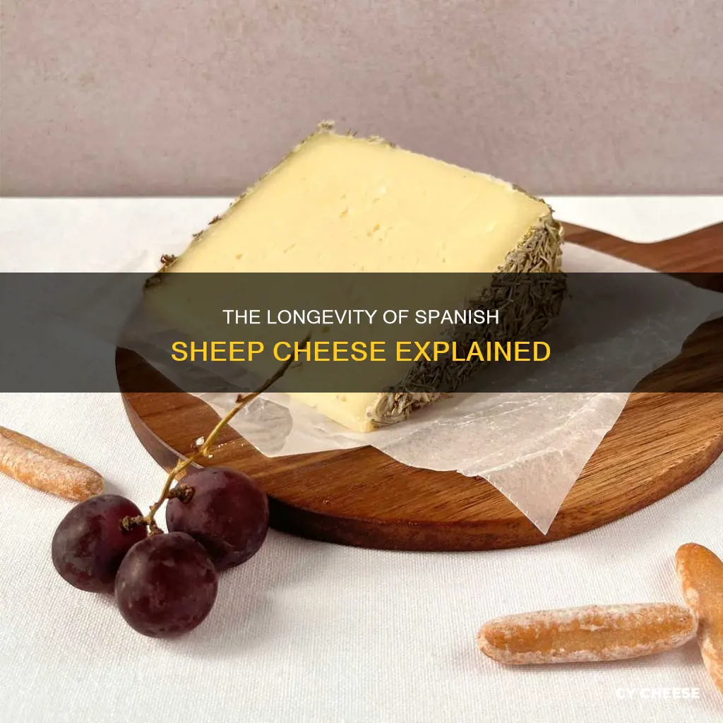 how long does spanishsheep cheese last