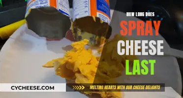 The Ultimate Guide to Spray Cheese Shelf Life