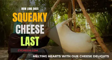 The Lifespan of Squeaky Cheese: How Long Does It Last?