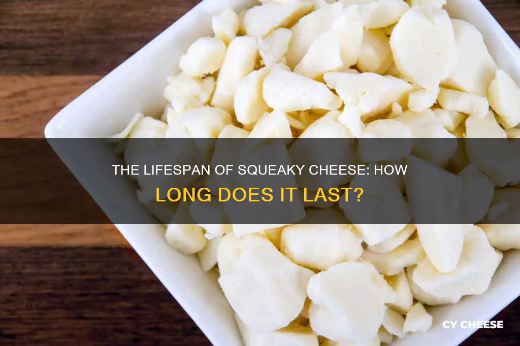 how long does squeaky cheese last