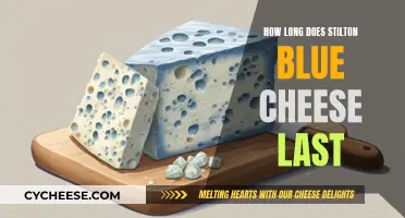 The Longevity of Stilton Blue Cheese: How Long Does it Last?