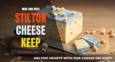 The Lifespan of Stilton Cheese: How Long Does it Last?