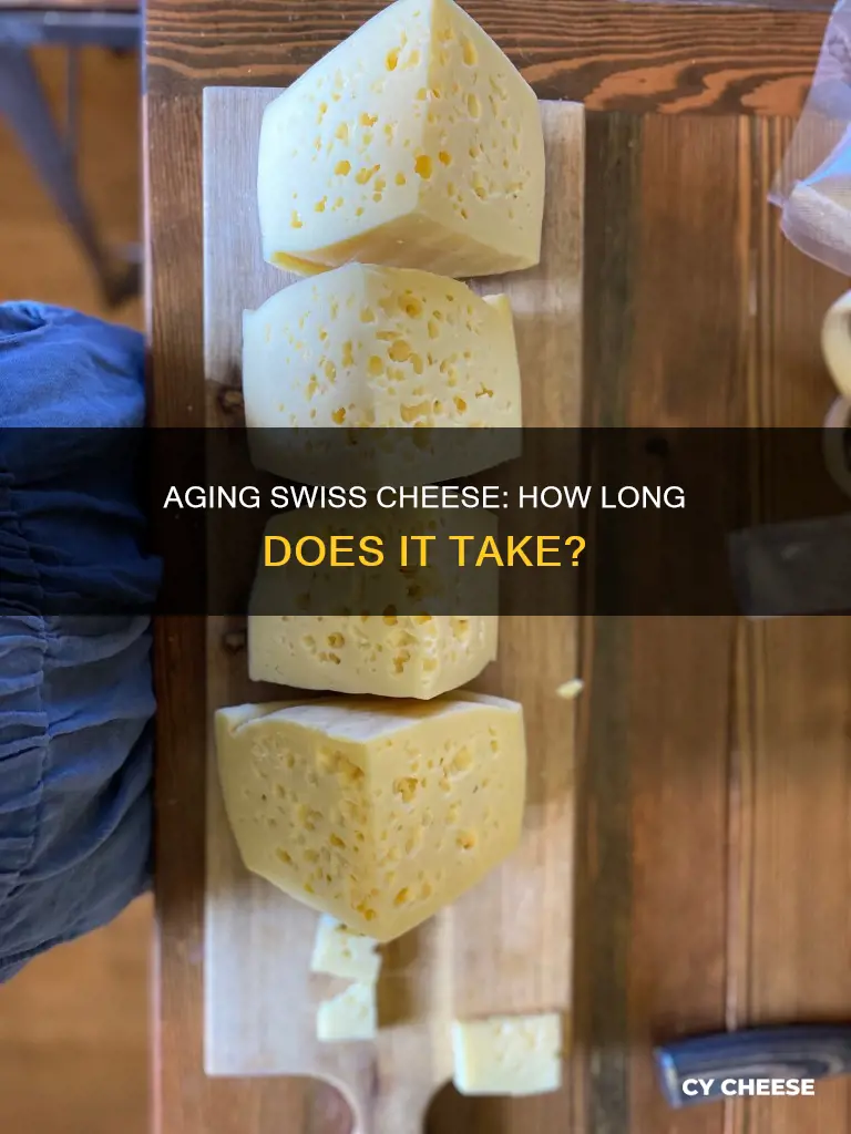 how long does swiss cheese age