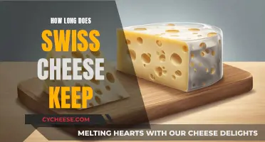 The Longevity of Swiss Cheese: Storage Tips and Tricks