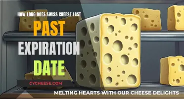 Swiss Cheese: How Long Does It Actually Last?