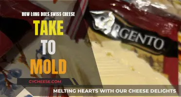 Swiss Cheese Mold: How Long Does It Take?