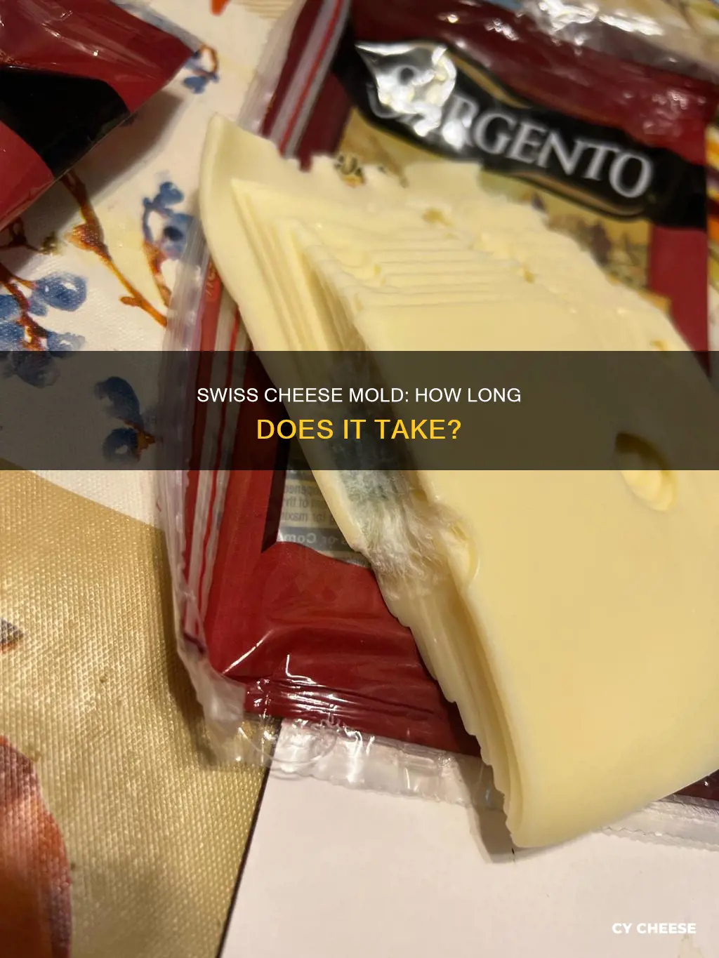 how long does swiss cheese take to mold