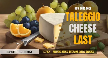 Taleggio Cheese: How Long Does It Last?