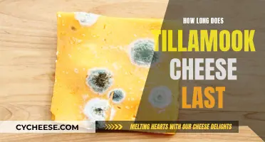 Tillamook Cheese: How Long Does It Stay Fresh?