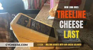 The Long-Lasting Appeal of Treeline Cheese: How Long Does it Last?