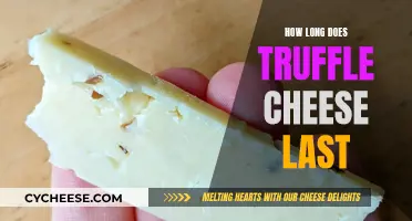 Truffle Cheese: How Long Does the Flavor Last?