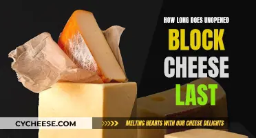 The Longevity of Block Cheese: Unopened, How Long Does it Last?