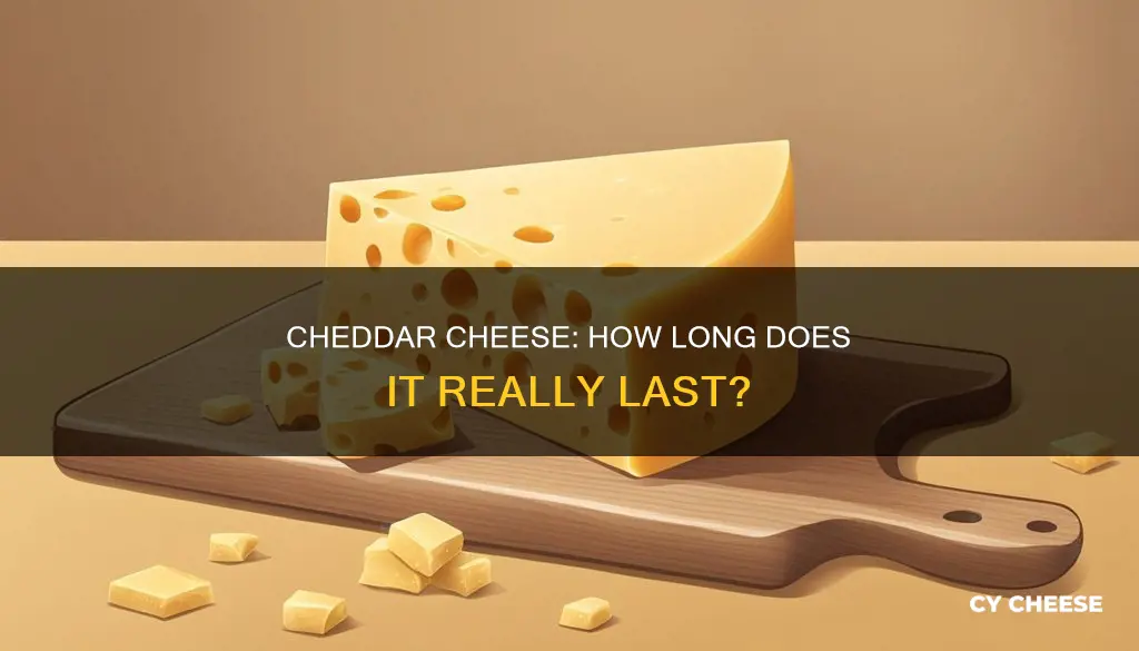 how long does unopened cheddar cheese last