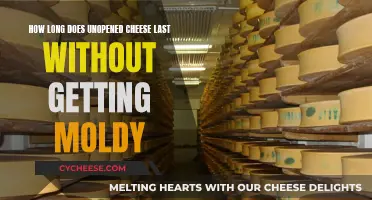 Cheese Storage: Unopened, Mold-Free, and Long-Lasting