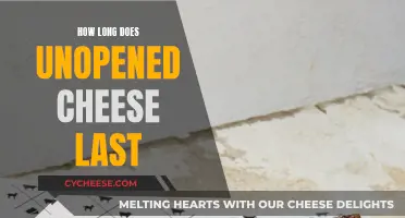 Cheese Storage: Unopened Cheese's Lifespan Explored