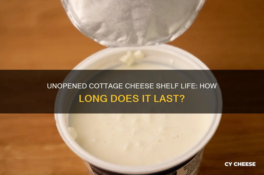 how long does unopened cottage cheese last